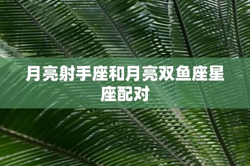 月亮射手座和月亮双鱼座星座配对