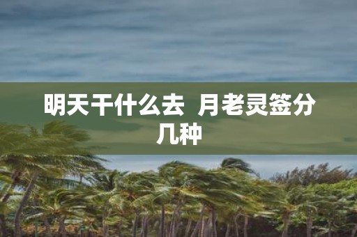 明天干什么去 月老灵签分几种