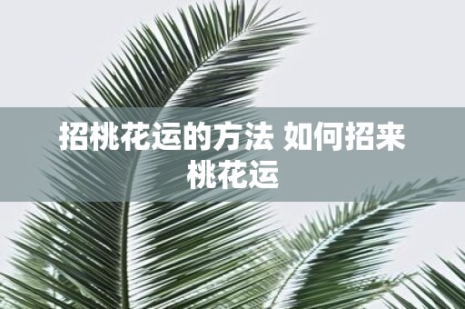 招桃花运的方法 如何招来桃花运