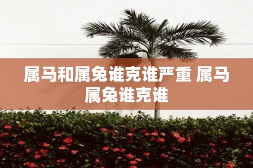 属马和属兔谁克谁严重 属马属兔谁克谁