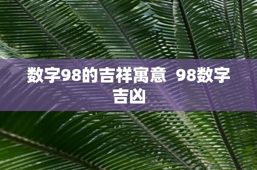 数字98的吉祥寓意 98数字吉凶