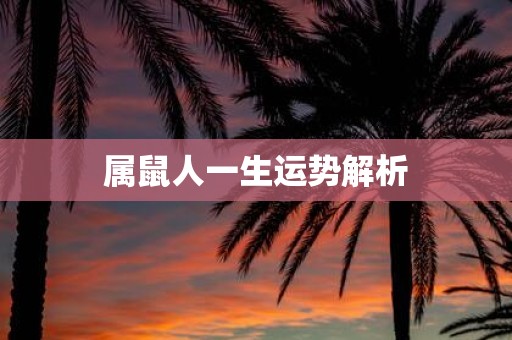 属鼠人一生运势解析