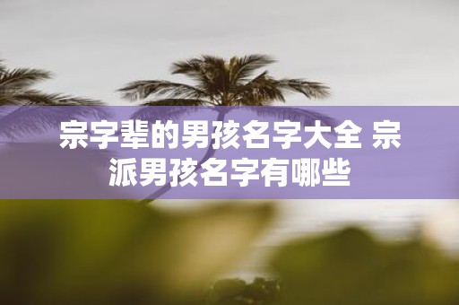 宗字辈的男孩名字大全 宗派男孩名字有哪些