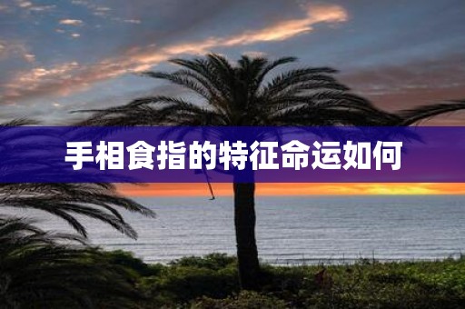 手相食指的特征命运如何