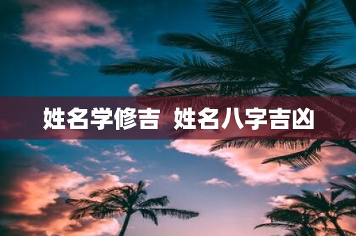 姓名学修吉 姓名八字吉凶