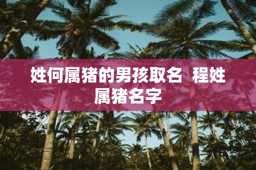 姓何属猪的男孩取名 程姓属猪名字