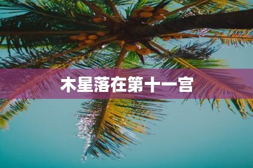 木星落在第十一宫