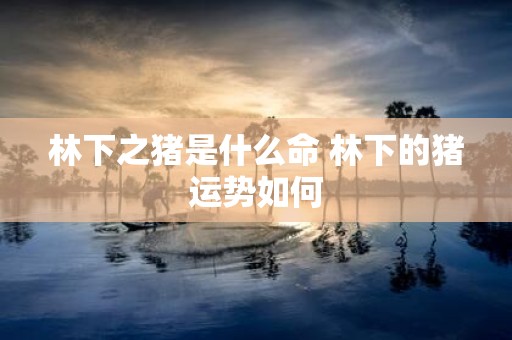 林下之猪是什么命 林下的猪运势如何