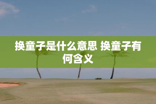 换童子是什么意思 换童子有何含义