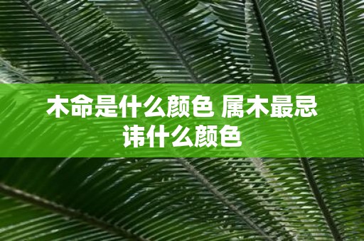 木命是什么颜色 属木最忌讳什么颜色