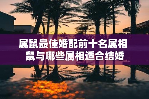 属鼠最佳婚配前十名属相 鼠与哪些属相适合结婚