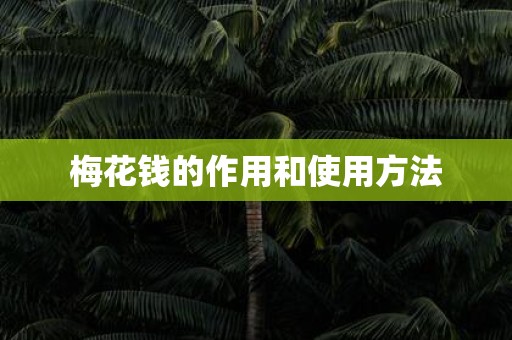 梅花钱的作用和使用方法
