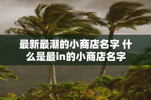最新最潮的小商店名字 什么是最in的小商店名字