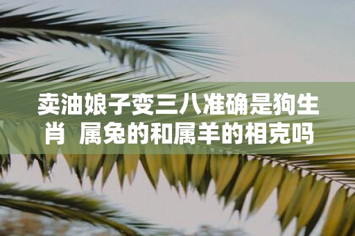 卖油娘子变三八准确是狗生肖 属兔的和属羊的相克吗
