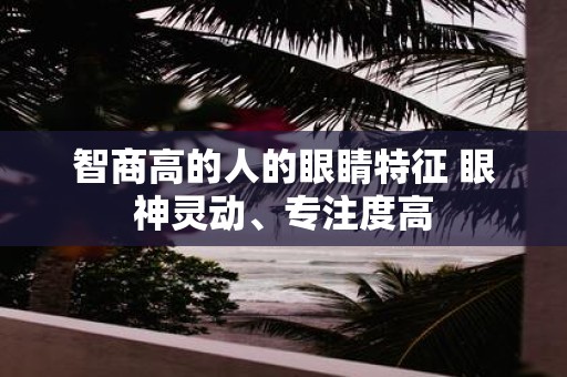 智商高的人的眼睛特征 眼神灵动、专注度高
