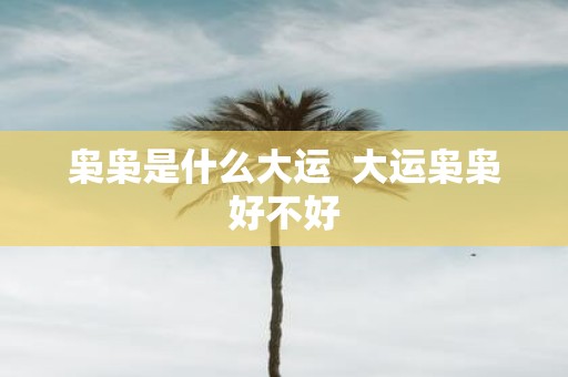 枭枭是什么大运 大运枭枭好不好