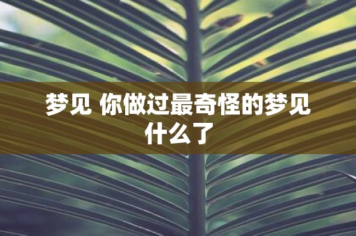 梦见 你做过最奇怪的梦见什么了