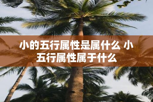 小的五行属性是属什么 小五行属性属于什么