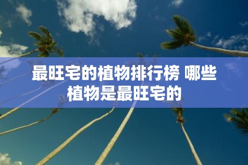 最旺宅的植物排行榜 哪些植物是最旺宅的