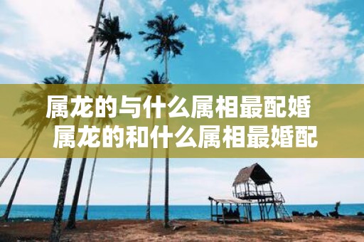 属龙的与什么属相最配婚 属龙的和什么属相最婚配