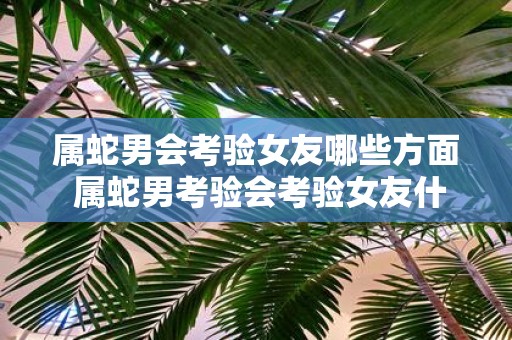 属蛇男会考验女友哪些方面 属蛇男考验会考验女友什么