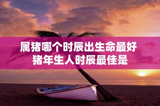 属猪哪个时辰出生命最好 猪年生人时辰最佳是