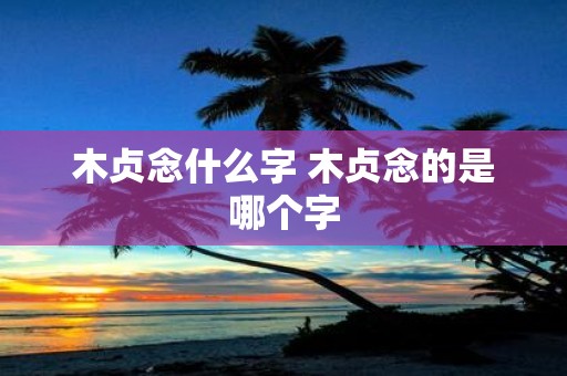木贞念什么字 木贞念的是哪个字