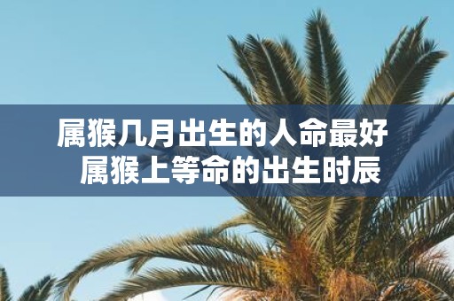 属猴几月出生的人命最好 属猴上等命的出生时辰