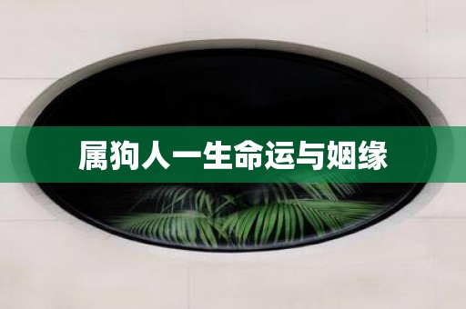 属狗人一生命运与姻缘