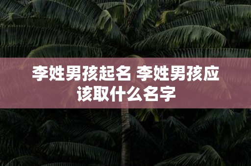 李姓男孩起名 李姓男孩应该取什么名字