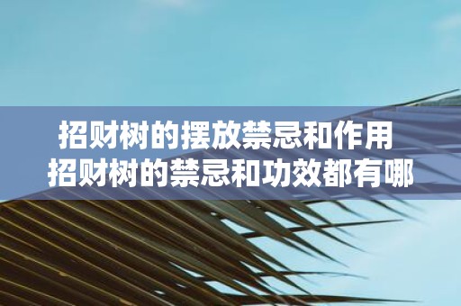 招财树的摆放禁忌和作用 招财树的禁忌和功效都有哪些