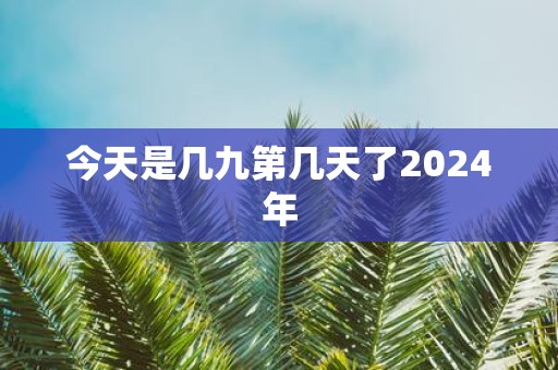 今天是几九第几天了2025年