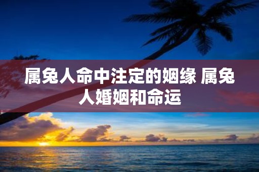 属兔人命中注定的姻缘 属兔人婚姻和命运