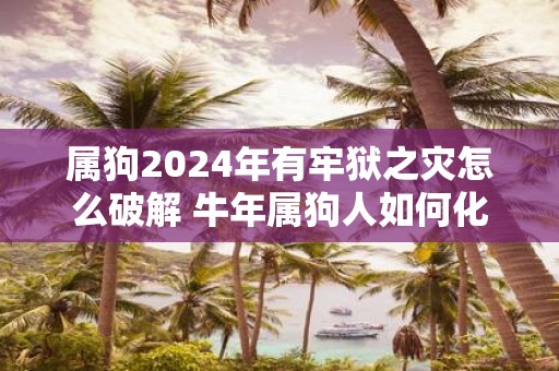 属狗2025年有牢狱之灾怎么破解 牛年属狗人如何化解灾难