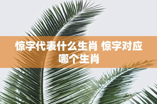 惊字代表什么生肖 惊字对应哪个生肖