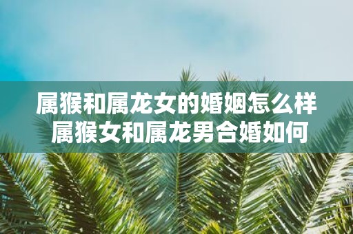 属猴和属龙女的婚姻怎么样 属猴女和属龙男合婚如何