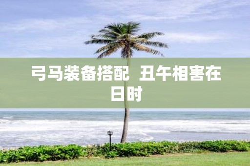 弓马装备搭配 丑午相害在日时