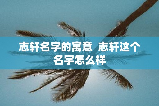 志轩名字的寓意 志轩这个名字怎么样