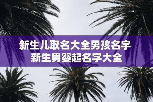 新生儿取名大全男孩名字 新生男婴起名字大全