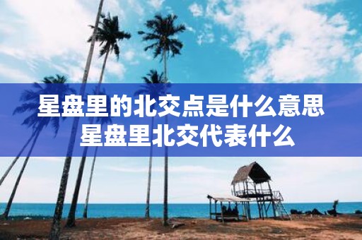 星盘里的北交点是什么意思 星盘里北交代表什么