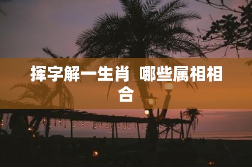 挥字解一生肖 哪些属相相合