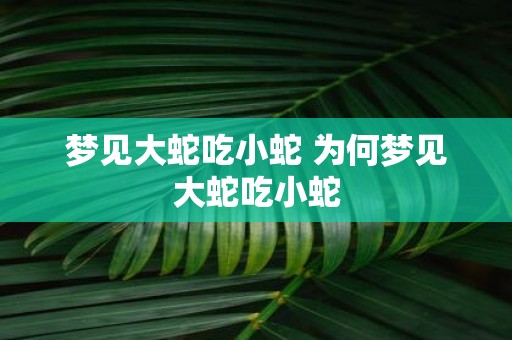 梦见大蛇吃小蛇 为何梦见大蛇吃小蛇