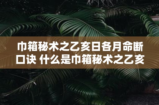 巾箱秘术之乙亥日各月命断口诀 什么是巾箱秘术之乙亥日各月命断口诀