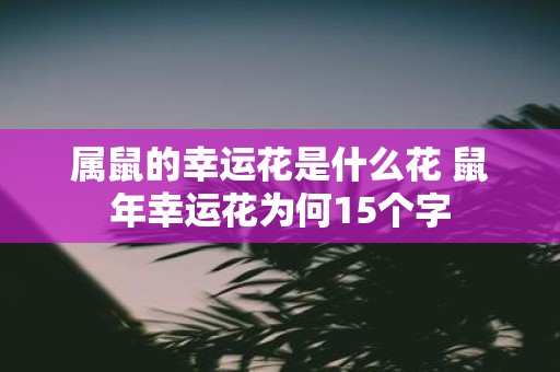 属鼠的幸运花是什么花 鼠年幸运花为何15个字