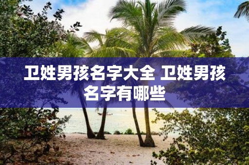 卫姓男孩名字大全 卫姓男孩名字有哪些