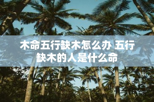 木命五行缺木怎么办 五行缺木的人是什么命