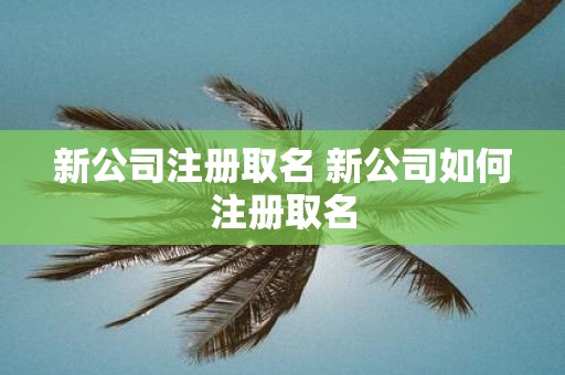 新公司注册取名 新公司如何注册取名 新公司注册取名 新公司如何注册取名
