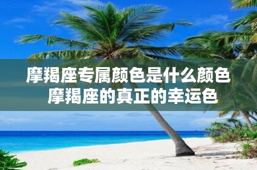 摩羯座专属颜色是什么颜色 摩羯座的真正的幸运色