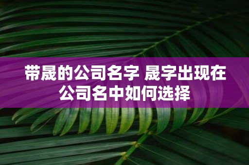 带晟的公司名字 晟字出现在公司名中如何选择