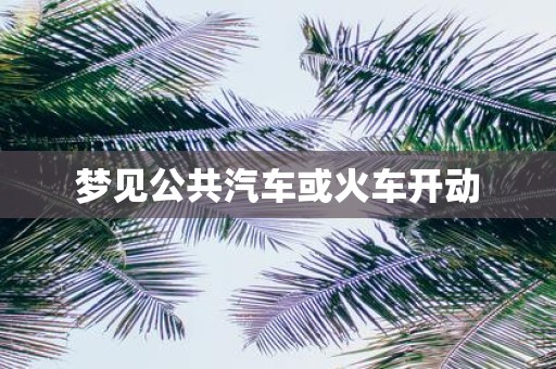 梦见公共汽车或火车开动